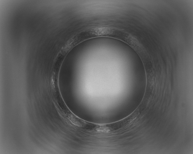 X0000054420214200508011406