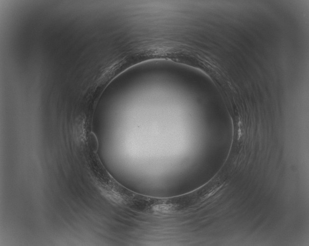 X0000054420216200508011406