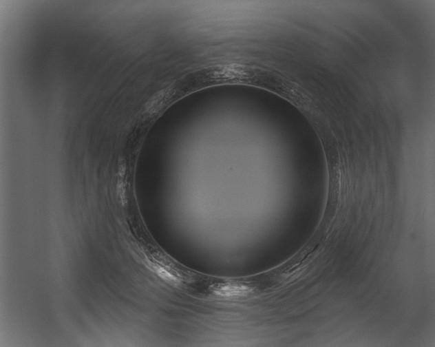 X0000054420223200508011406