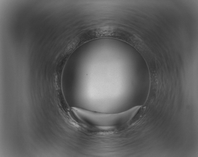 X0000054420224200508011406