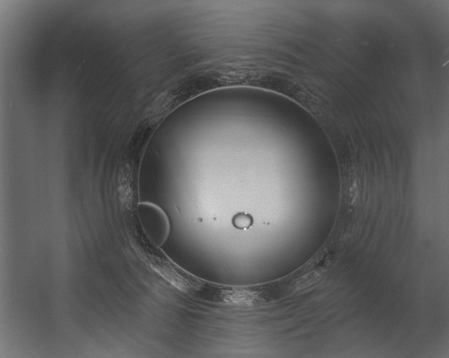 X0000054420226200508011406