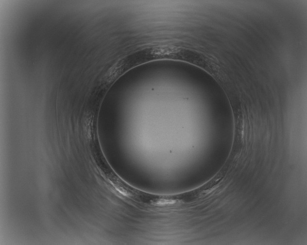 X0000054420227200508011406