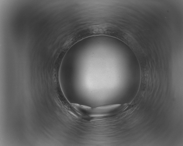 X0000054420228200508011406