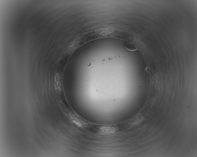 X0000054420234200508011406