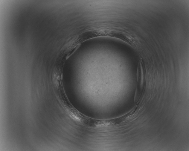 X0000054420235200508011406