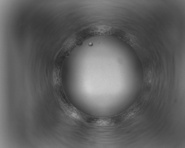 X0000054420236200508011405