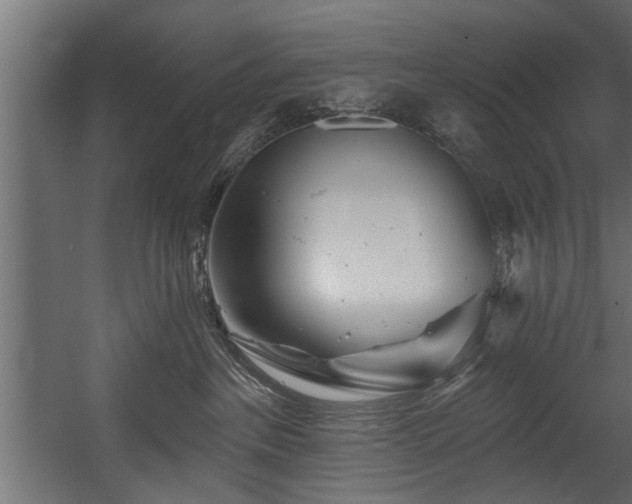 X0000054420237200508011405