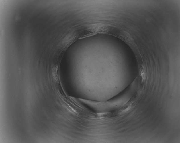 X0000054420239200508011405