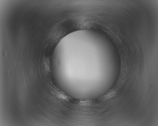 X0000054420240200508011405