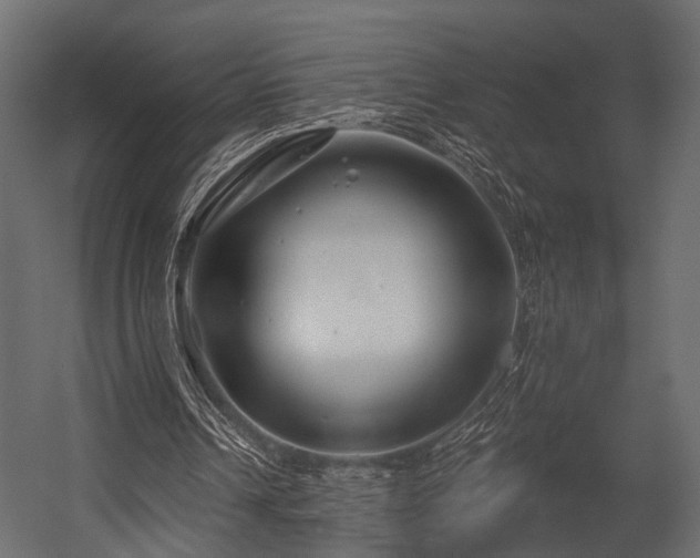 X0000054420242200508011405