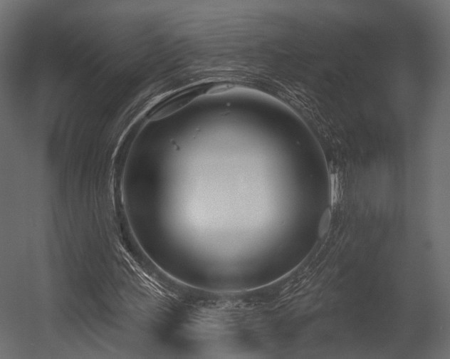 X0000054420243200508011405