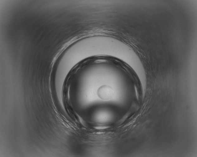 X0000054420244200508011405