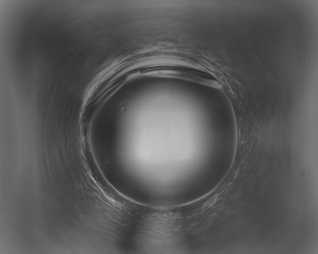 X0000054420245200508011405