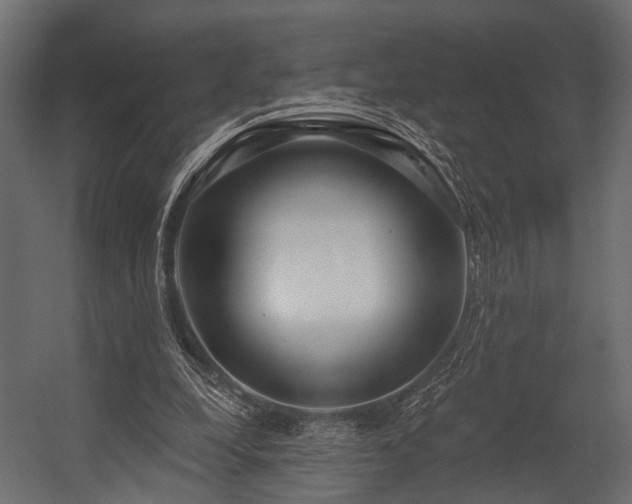 X0000054420248200508011405