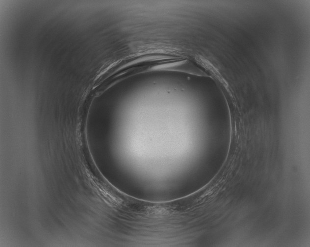 X0000054420249200508011405