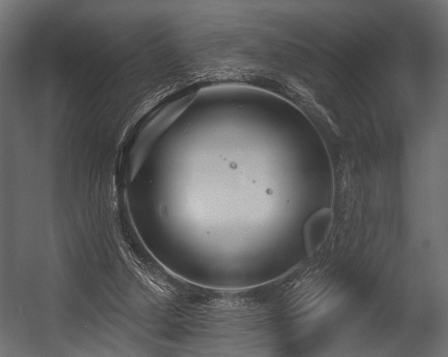 X0000054420250200508011405