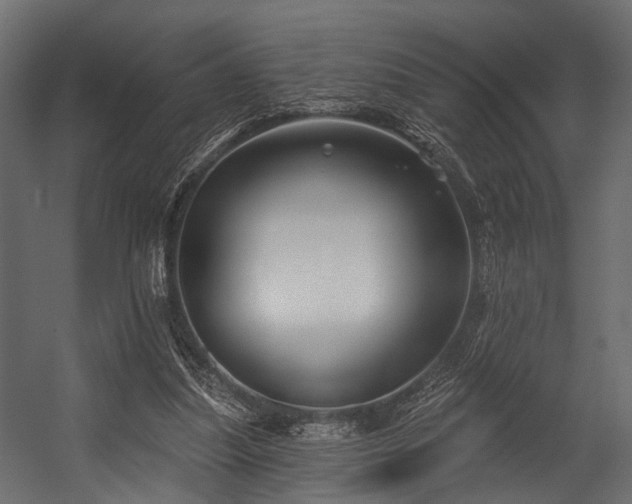 X0000054420251200508011405