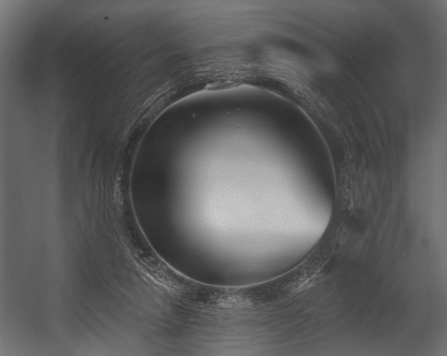 X0000054420258200508011405