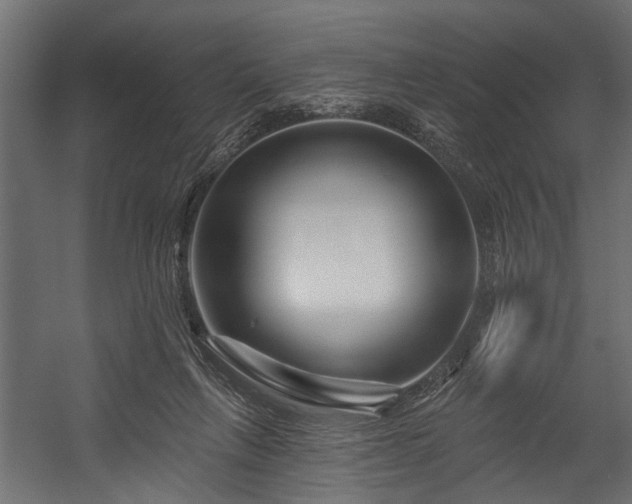 X0000054420263200508011405