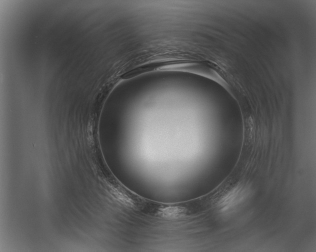 X0000054420269200508011405