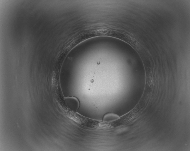 X0000054420270200508011405