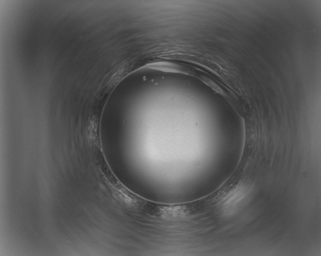 X0000054420281200508011405