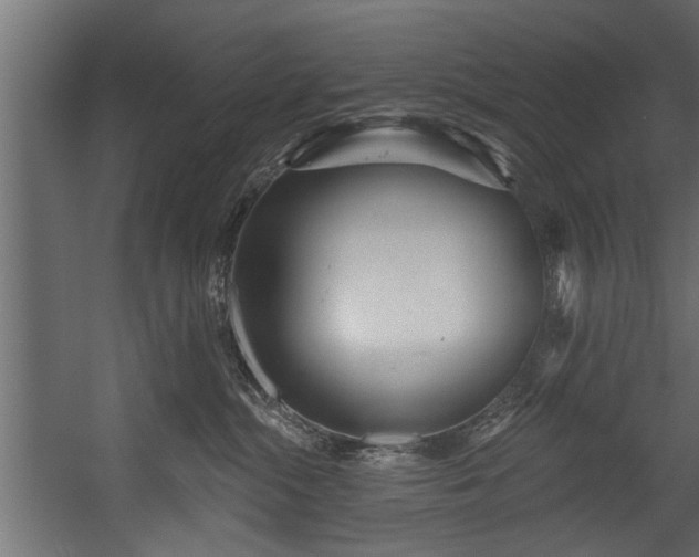 X0000054420284200508011405