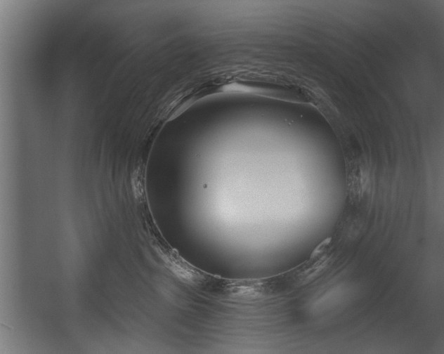 X0000054420285200508011405