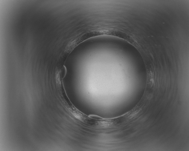 X0000054420286200508011405