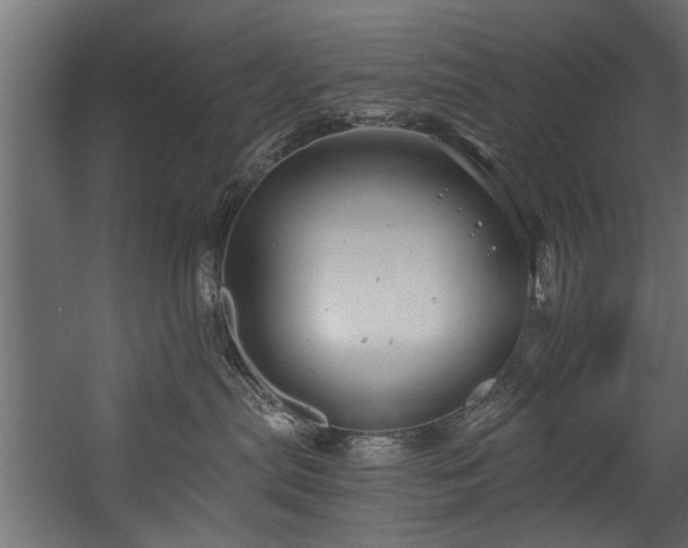 X0000054420287200508011405