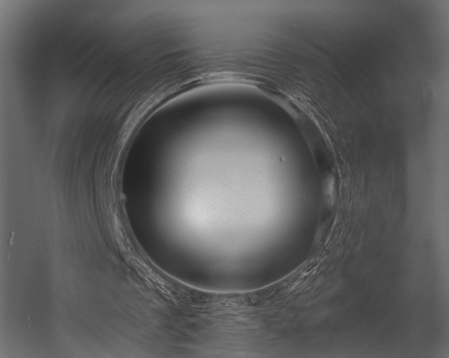 X0000054420289200508011405