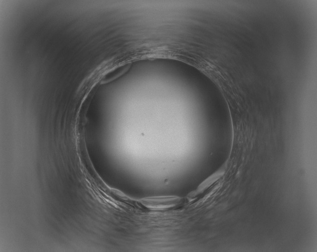 X0000054420290200508011405