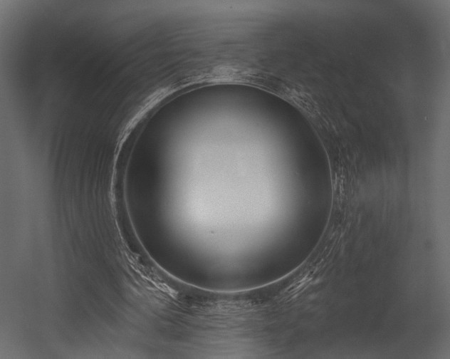 X0000054420292200508011405