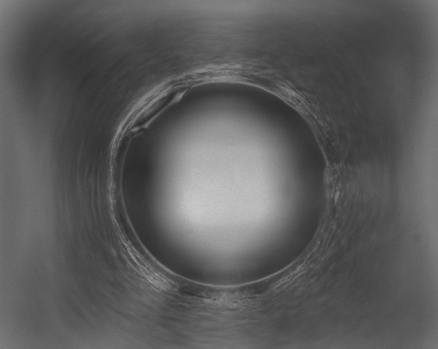 X0000054420293200508011405