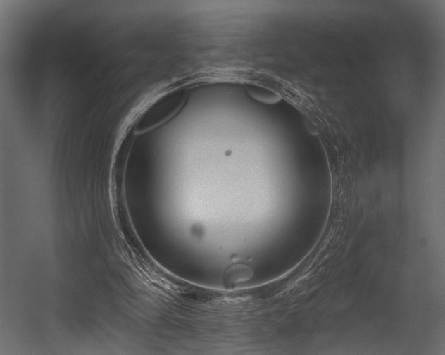 X0000054420294200508011404