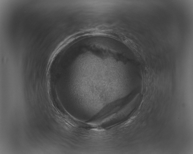 X0000054420295200508011404