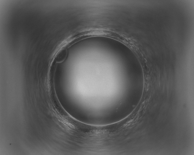 X0000054420296200508011404