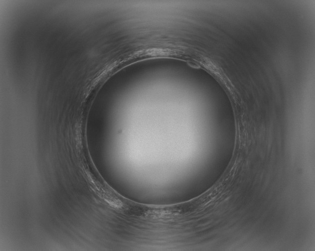 X0000054420297200508011404