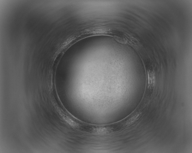 X0000054420301200508011404