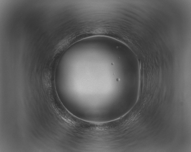 X0000054420303200508011404