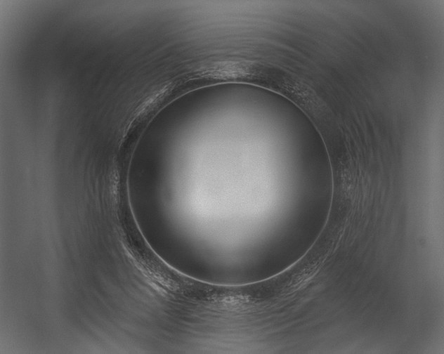 X0000054420304200508011404