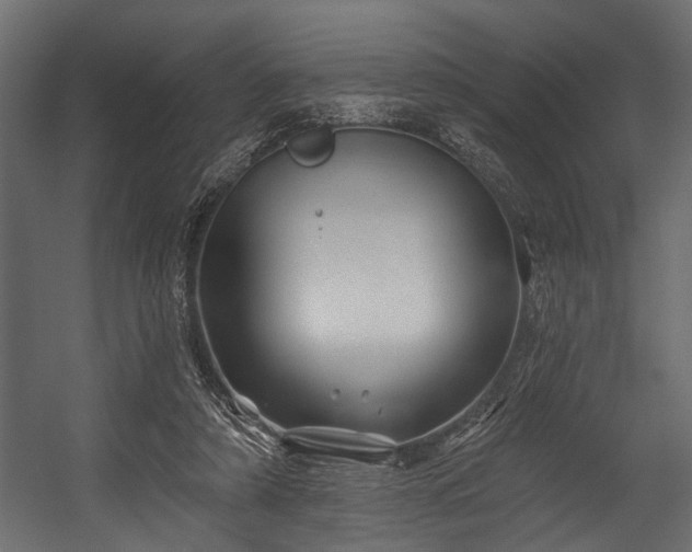 X0000054420306200508011404