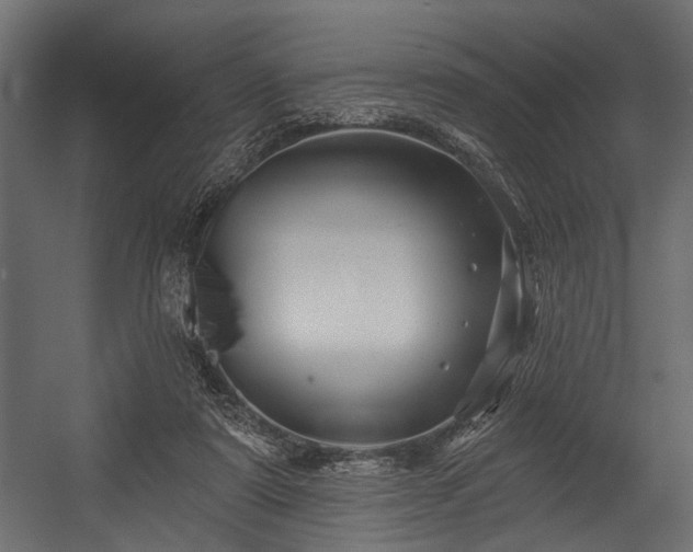 X0000054420307200508011404