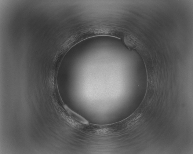 X0000054420309200508011404