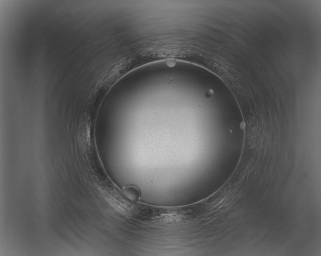 X0000054420310200508011404