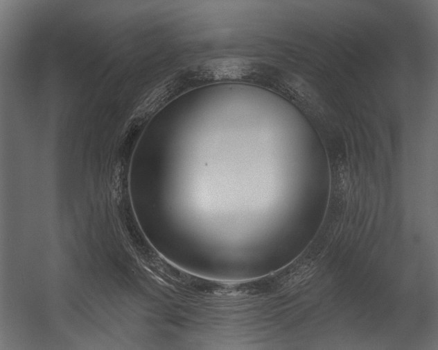 X0000054420311200508011404