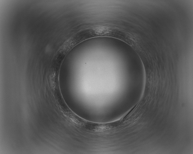 X0000054420319200508011404