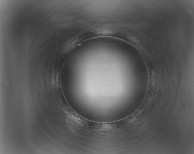 X0000054420330200508011404