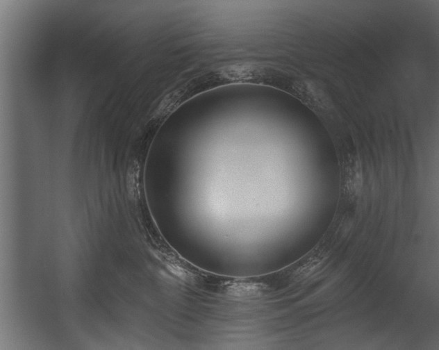 X0000054420332200508011404