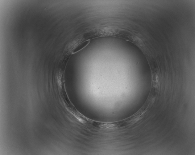 X0000054420334200508011404